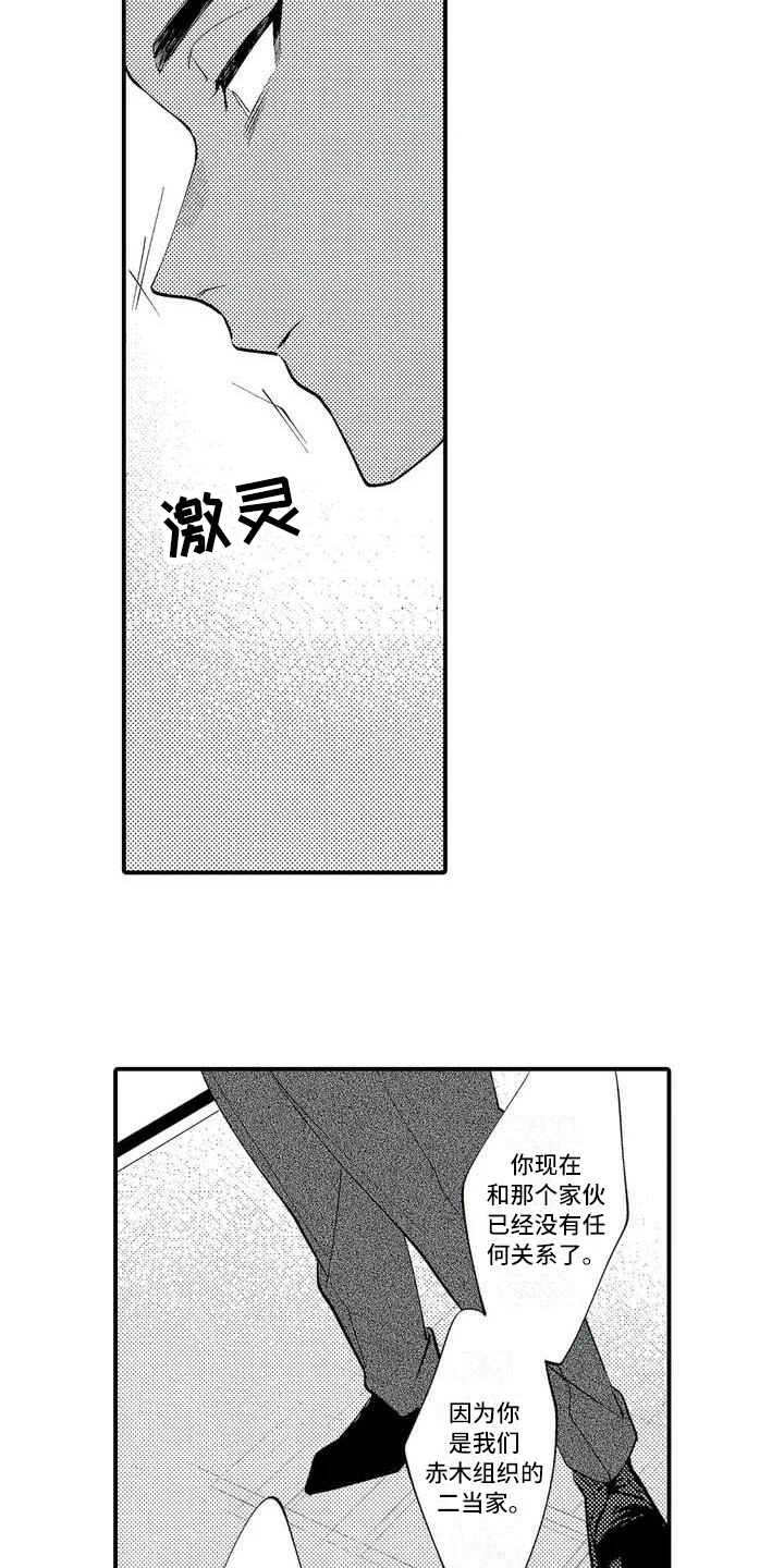 《打翻友谊》第1章二当家 第11页