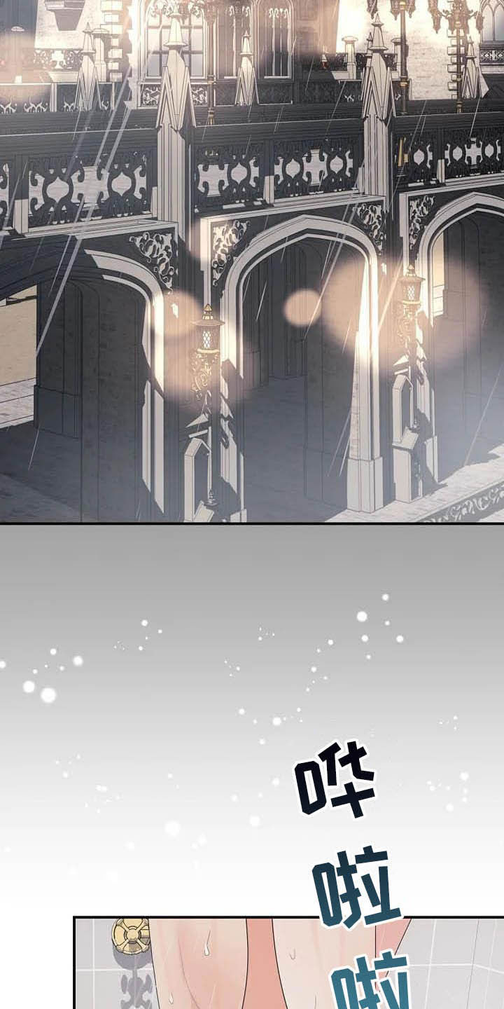 《公爵的教法》第46章你很丑陋 第17页