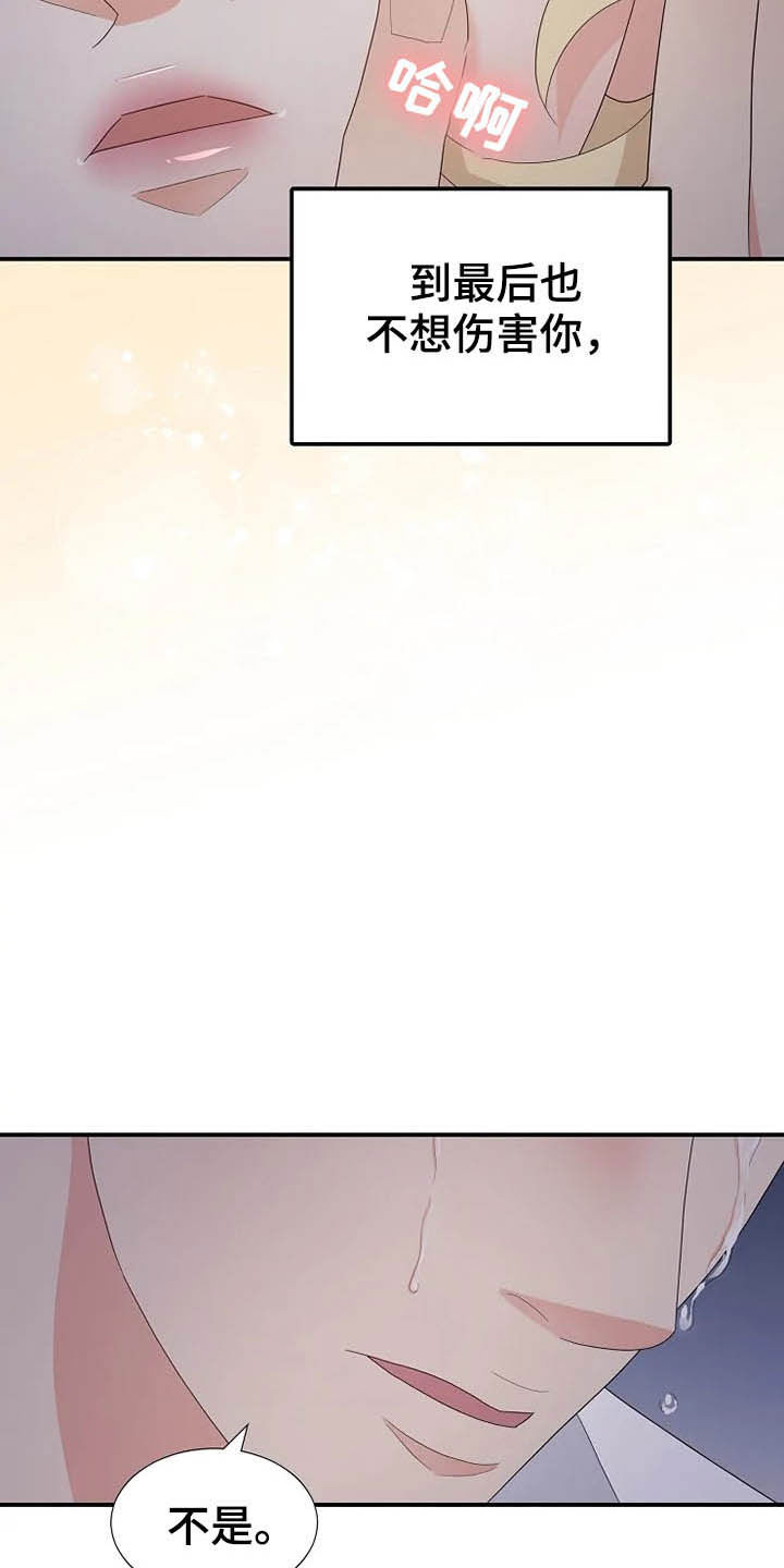 《公爵的教法》第38章离婚协议书 第13页