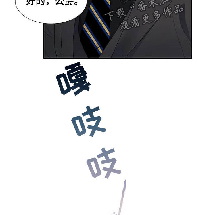 《公爵的教法》第35章同父异母 第19页