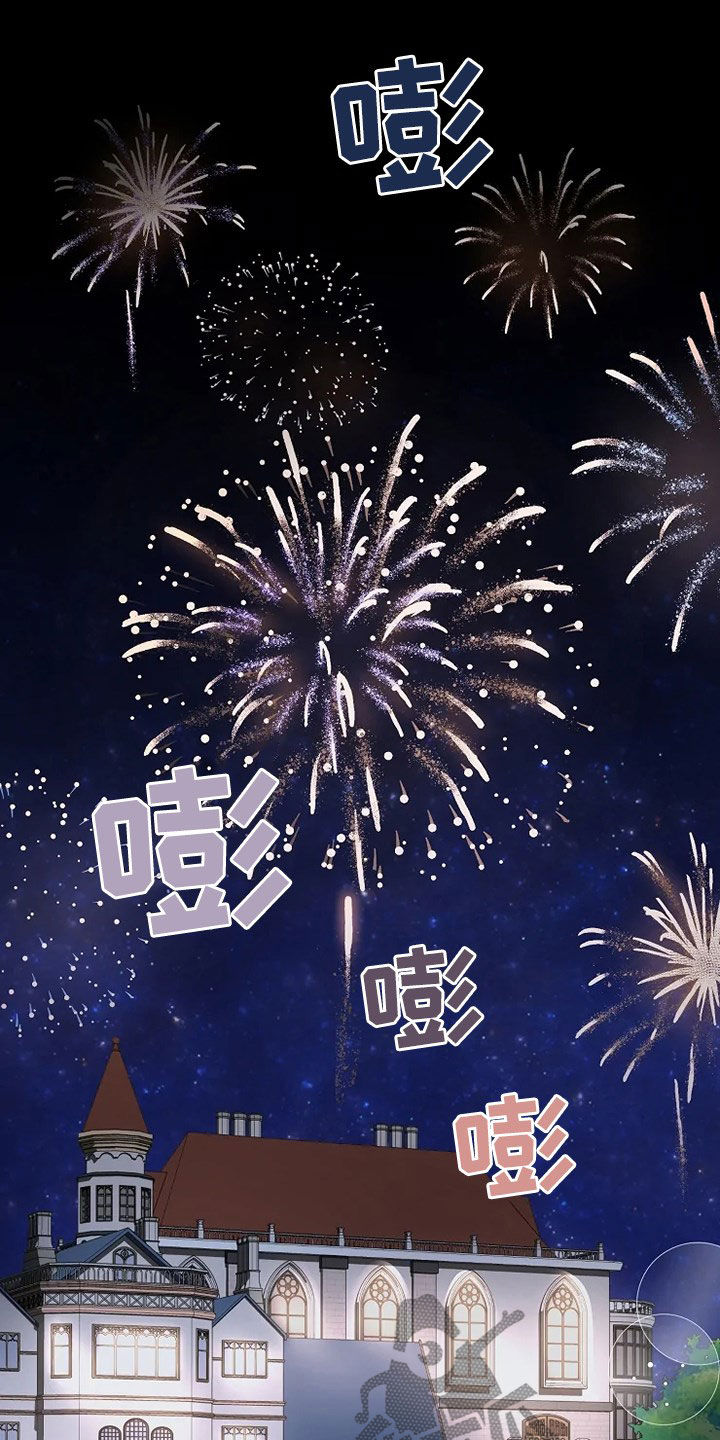 《公爵的教法》第34章烟花 第12页