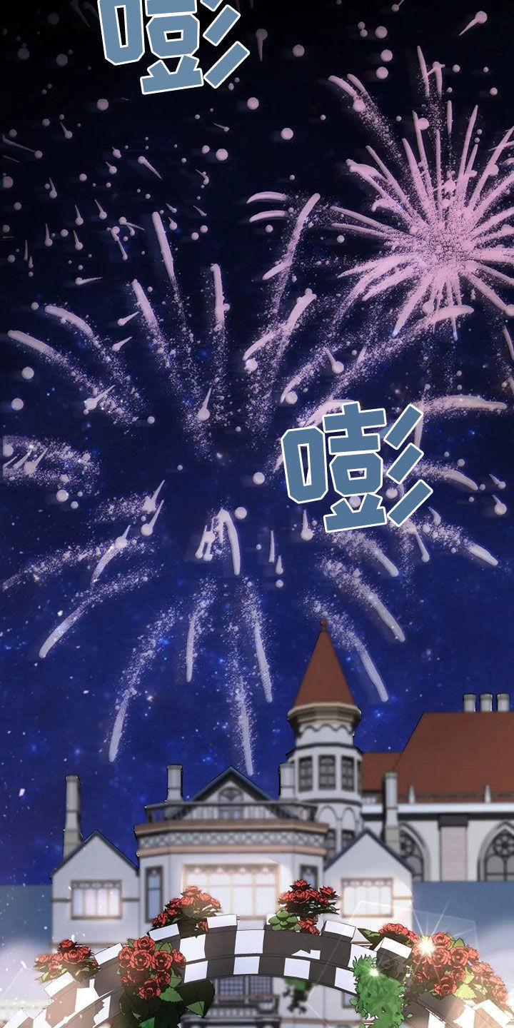 《公爵的教法》第34章烟花 第17页