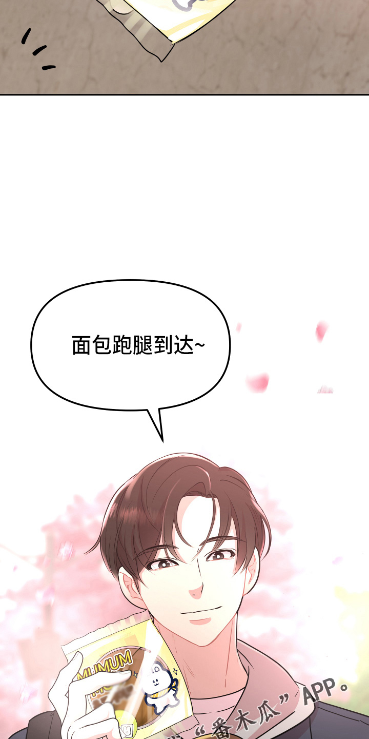 《兔兔与灰熊》第21章【完结】我喜欢你 第25页