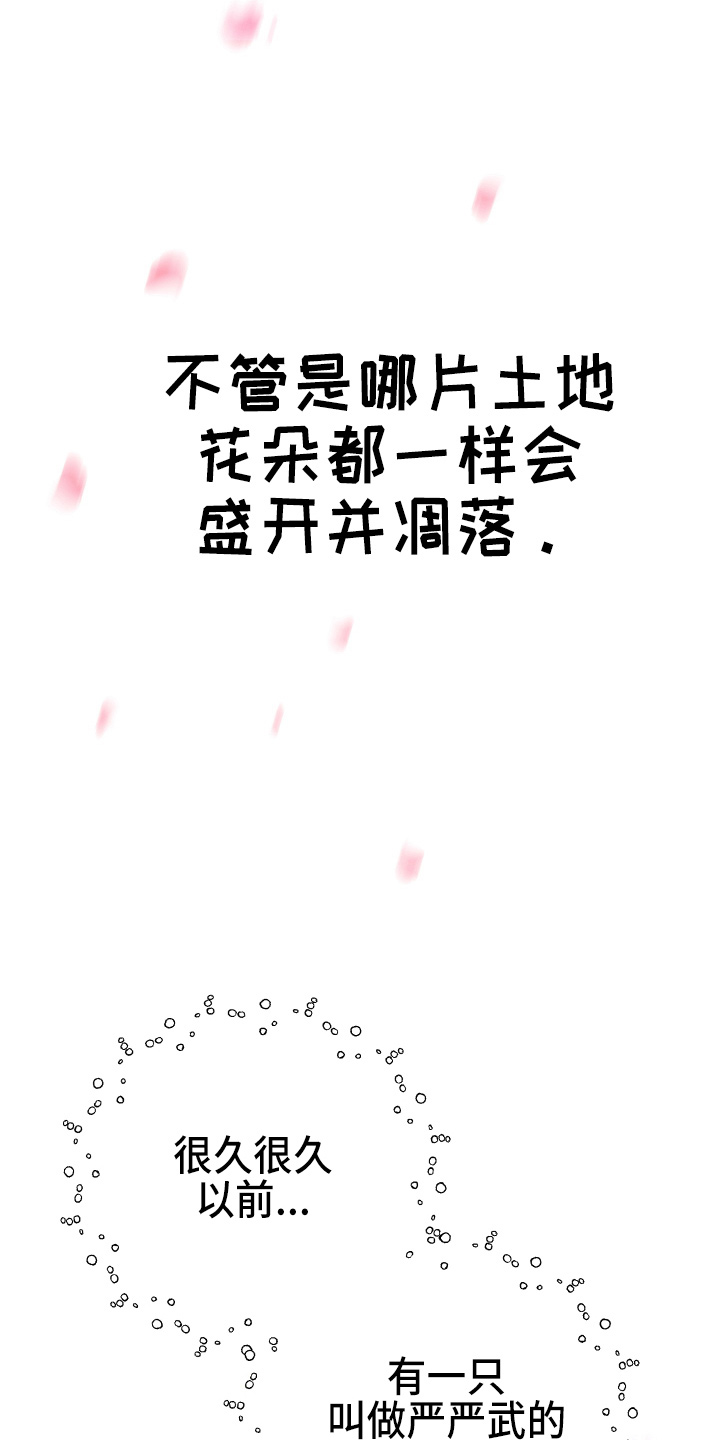 《兔兔与灰熊》第21章【完结】我喜欢你 第37页