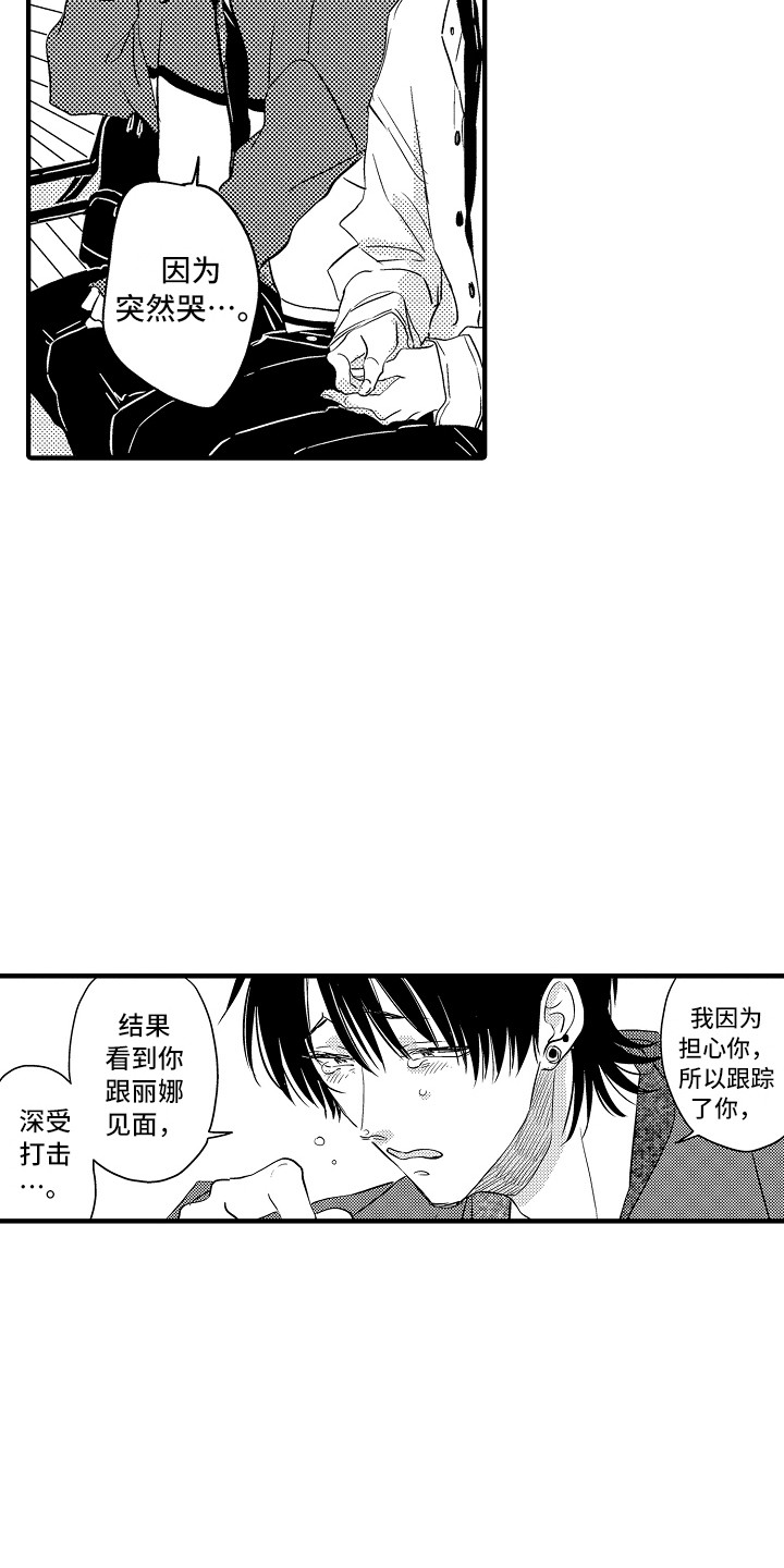 《梦中的举动》第20章解释 第4页