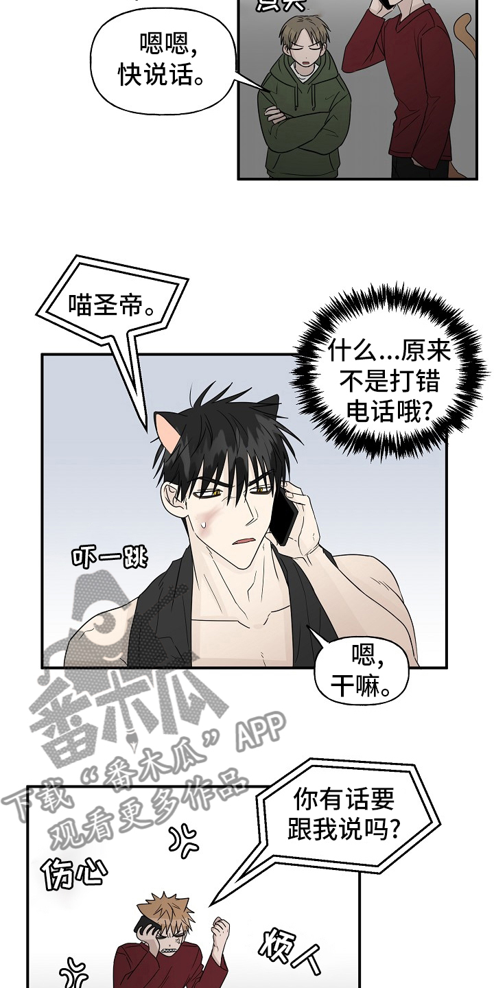 《幸运猫》第40章一起回家吧 第17页