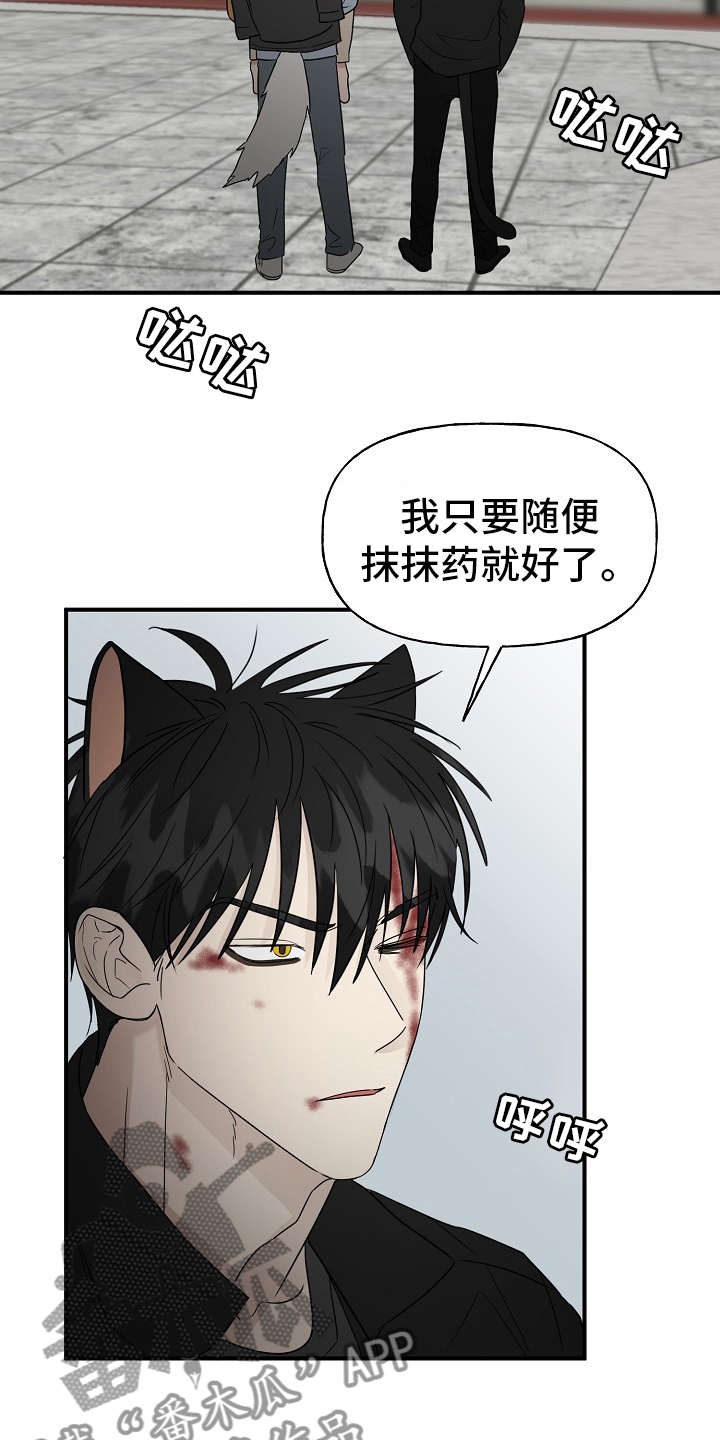 《幸运猫》第40章一起回家吧 第2页