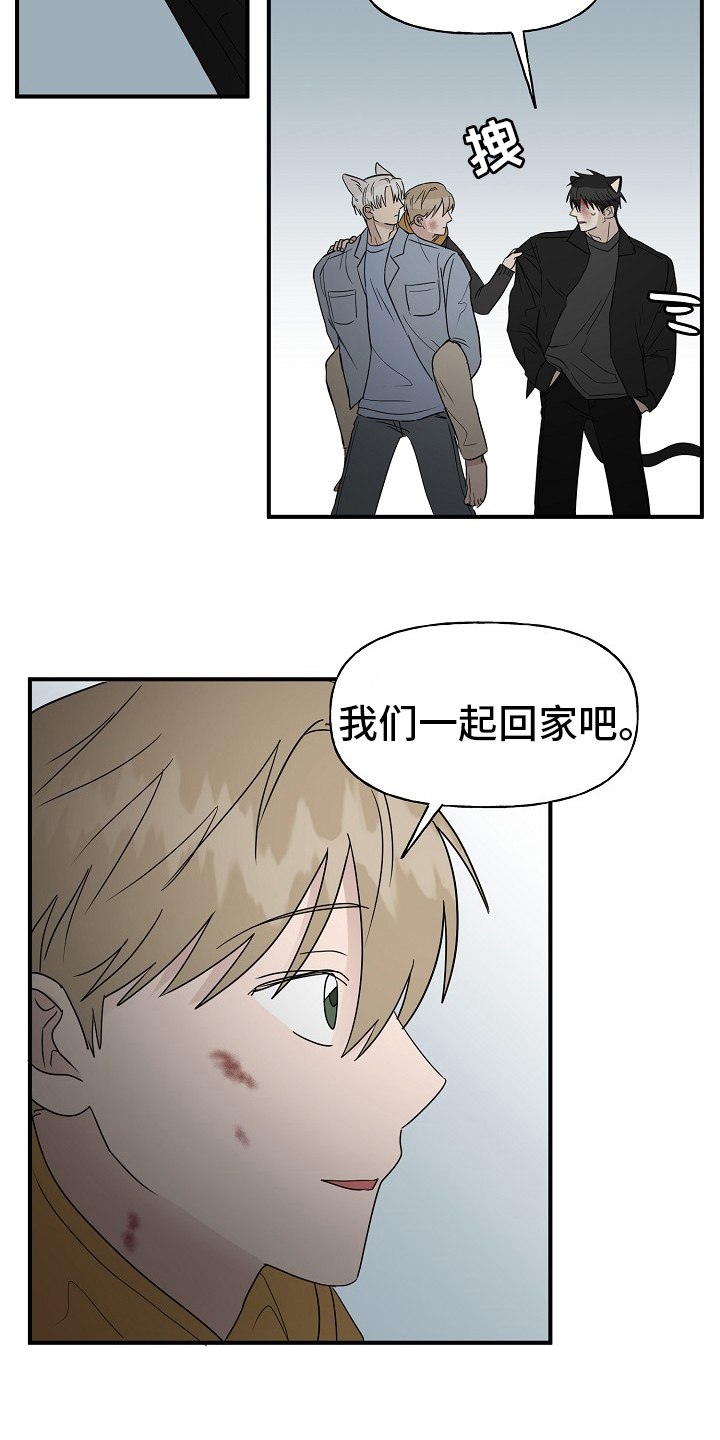 《幸运猫》第40章一起回家吧 第4页