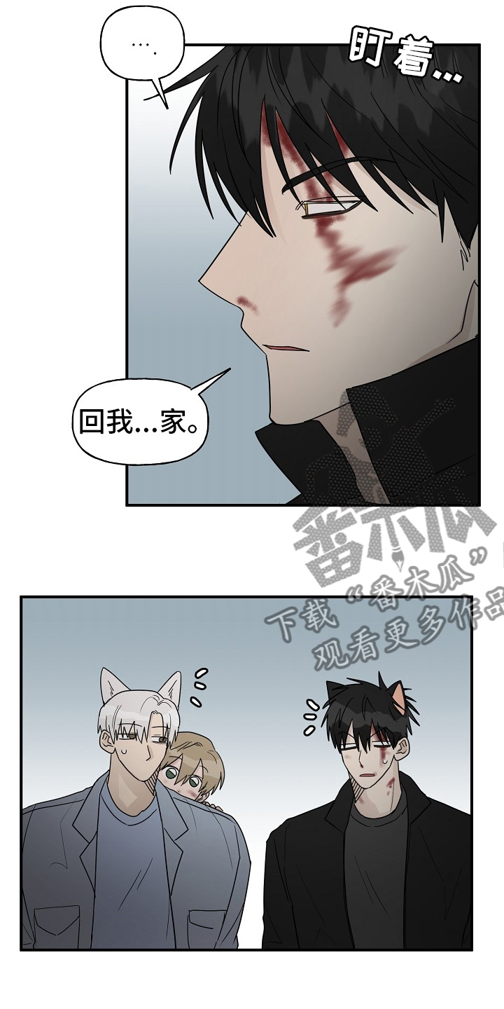 《幸运猫》第40章一起回家吧 第5页