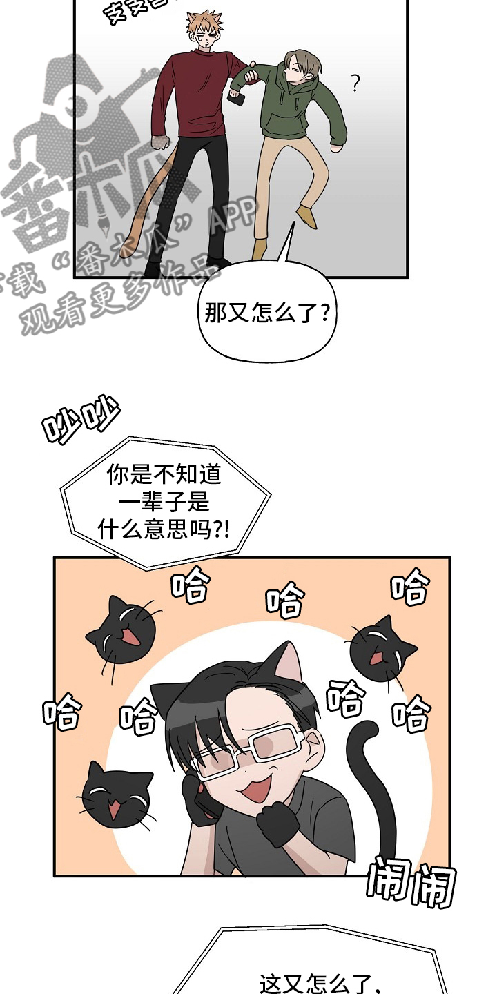 《幸运猫》第43章【完结】跟我一起 第7页