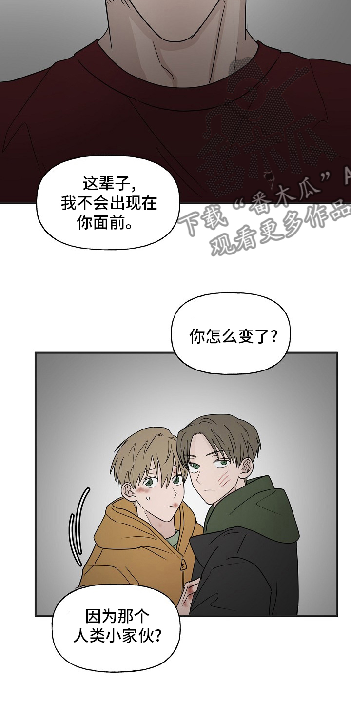 《幸运猫》第39章安抚 第11页