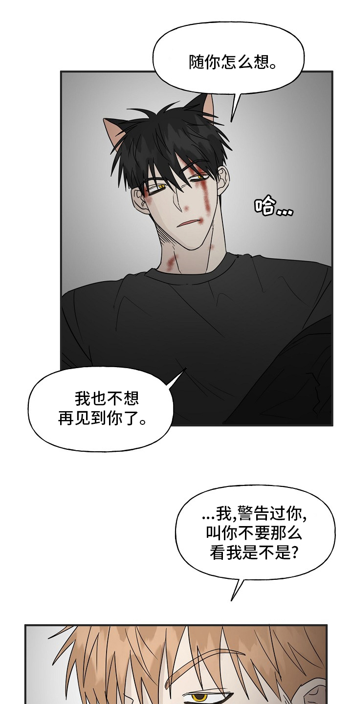 《幸运猫》第39章安抚 第12页