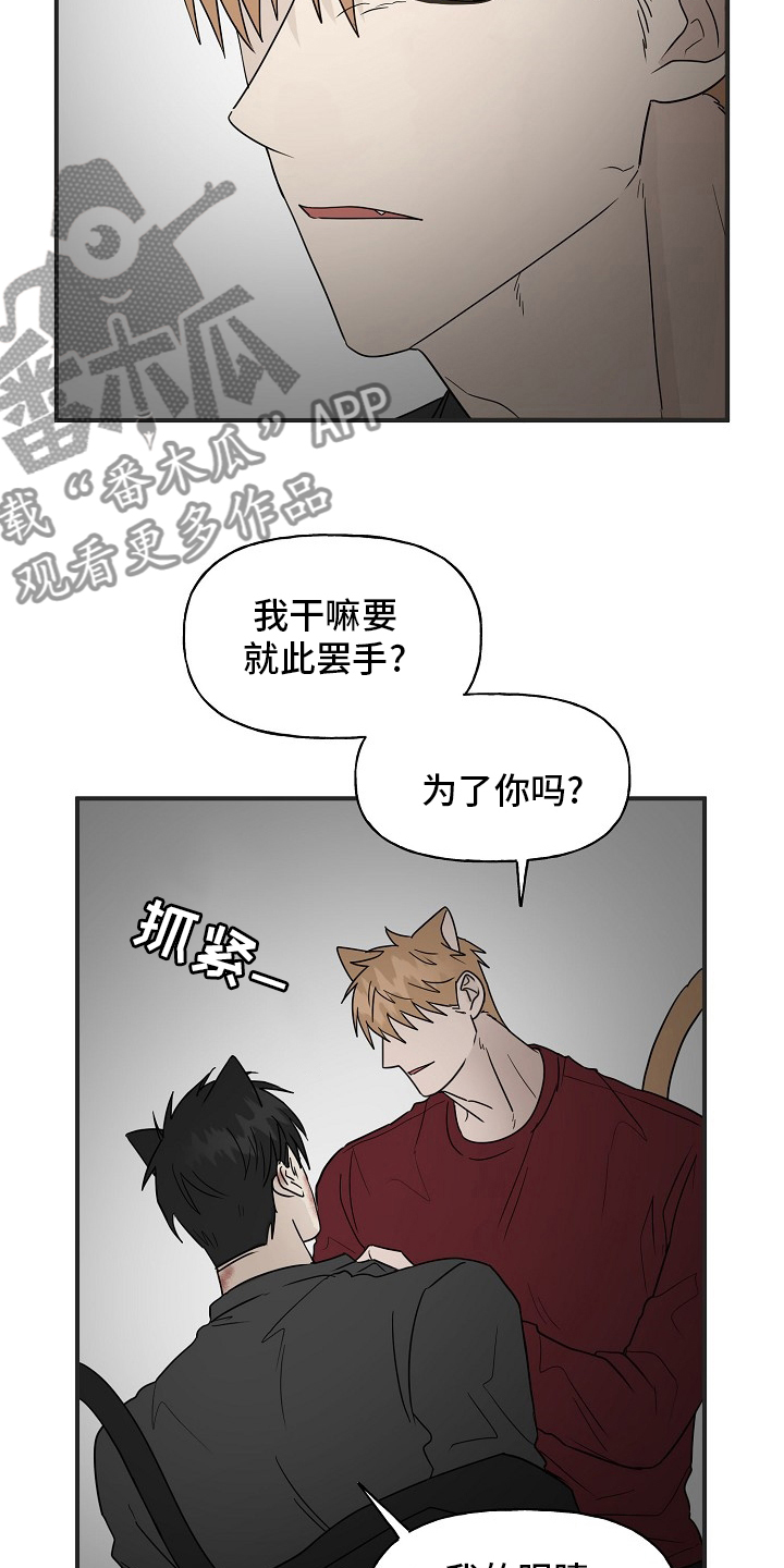 《幸运猫》第39章安抚 第13页