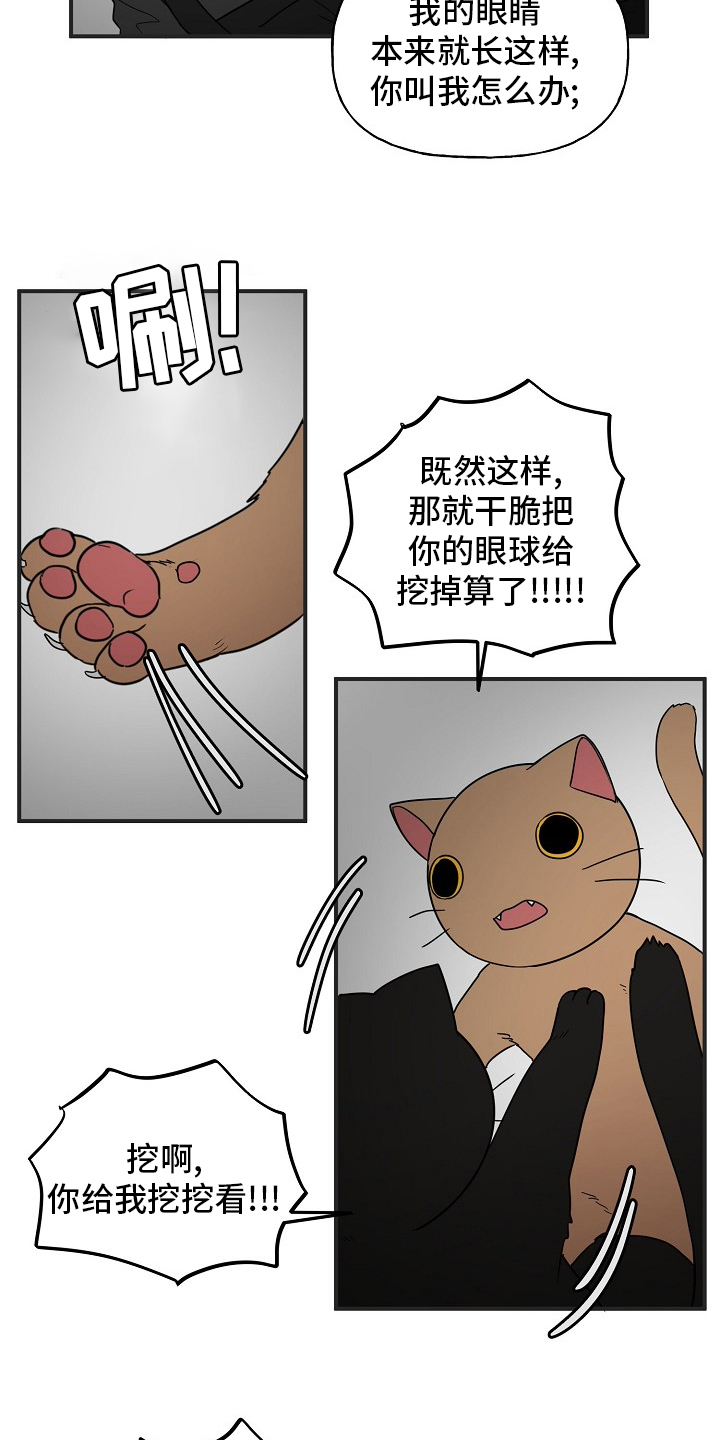 《幸运猫》第39章安抚 第14页
