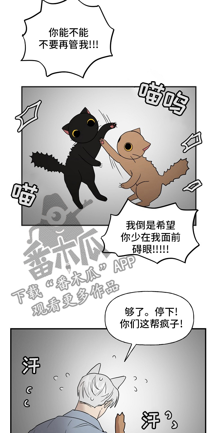 《幸运猫》第39章安抚 第15页