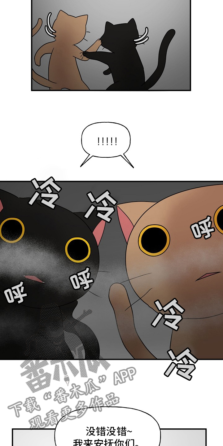 《幸运猫》第39章安抚 第18页