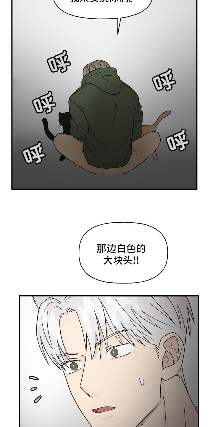 《幸运猫》第39章安抚 第19页