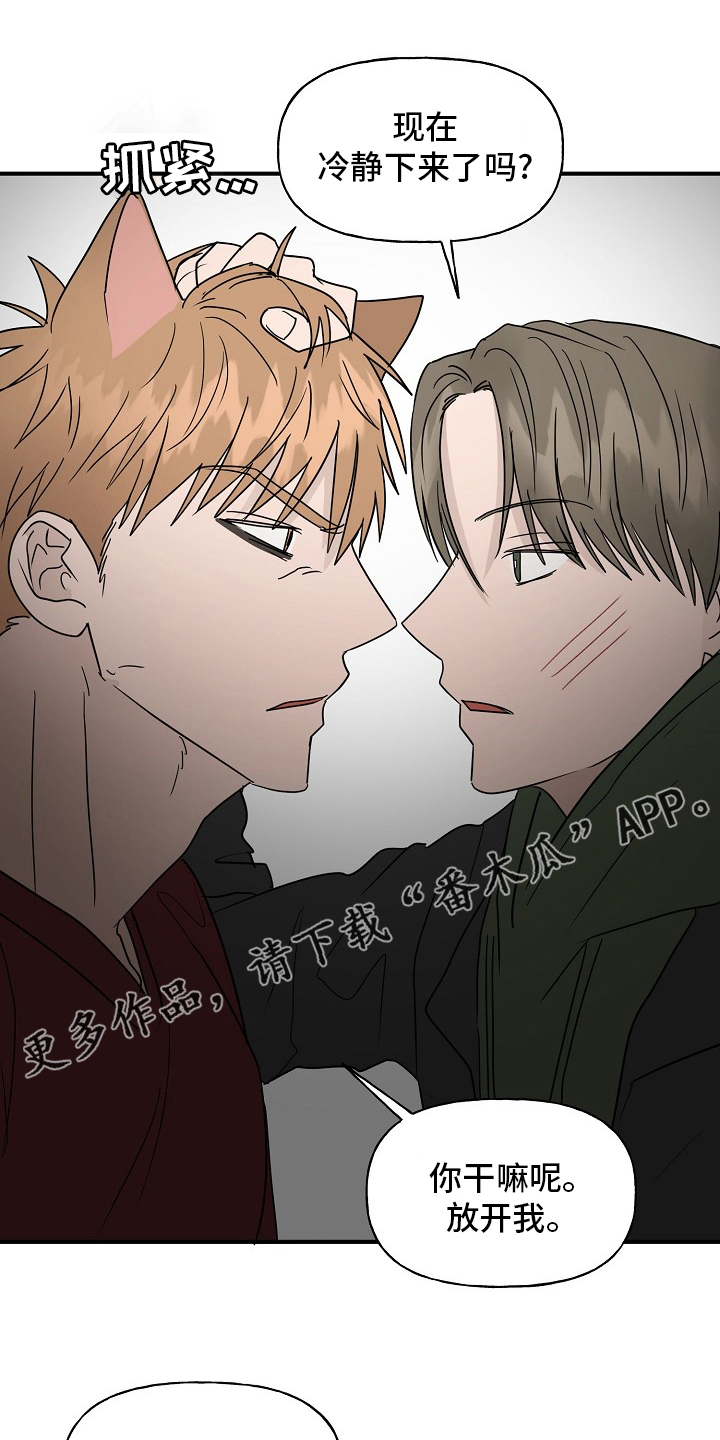 《幸运猫》第39章安抚 第1页