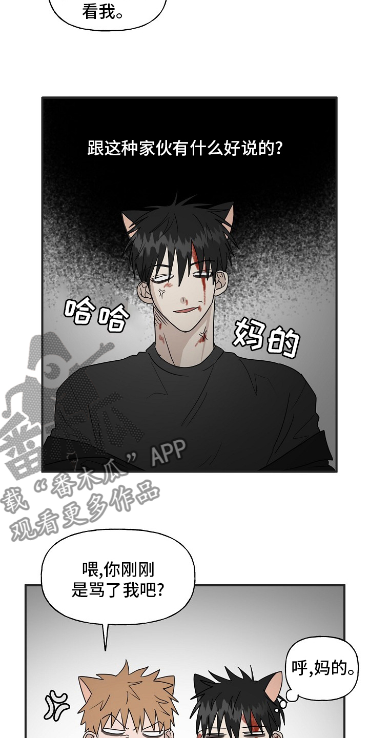 《幸运猫》第39章安抚 第8页