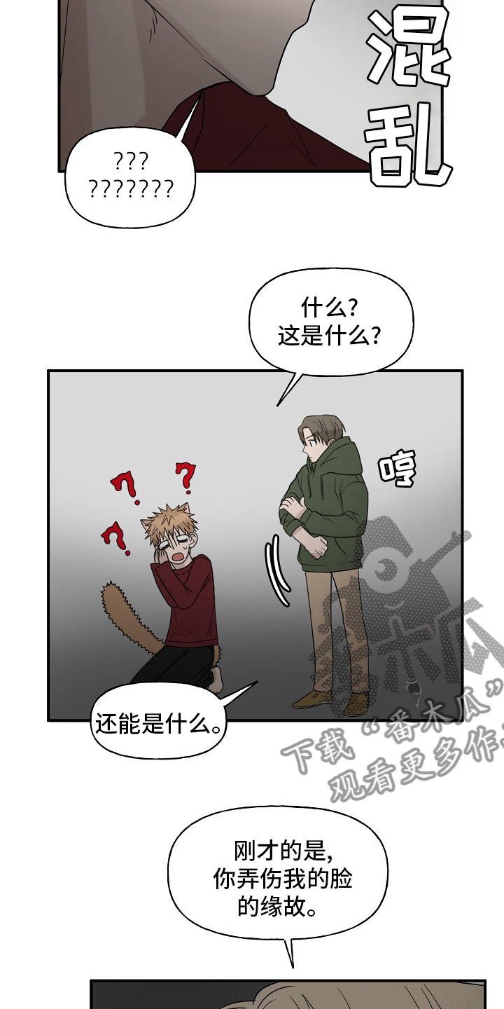 《幸运猫》第41章还没结束 第16页