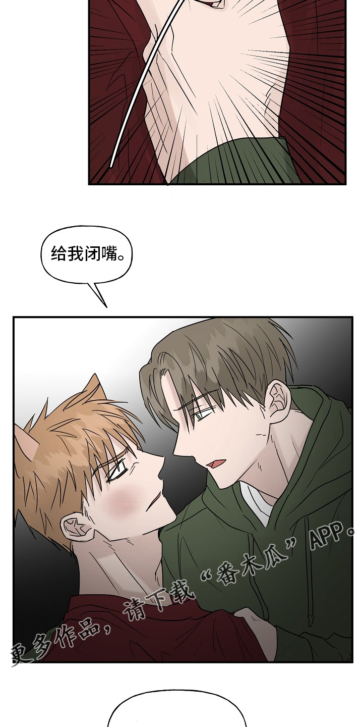 《幸运猫》第41章还没结束 第19页