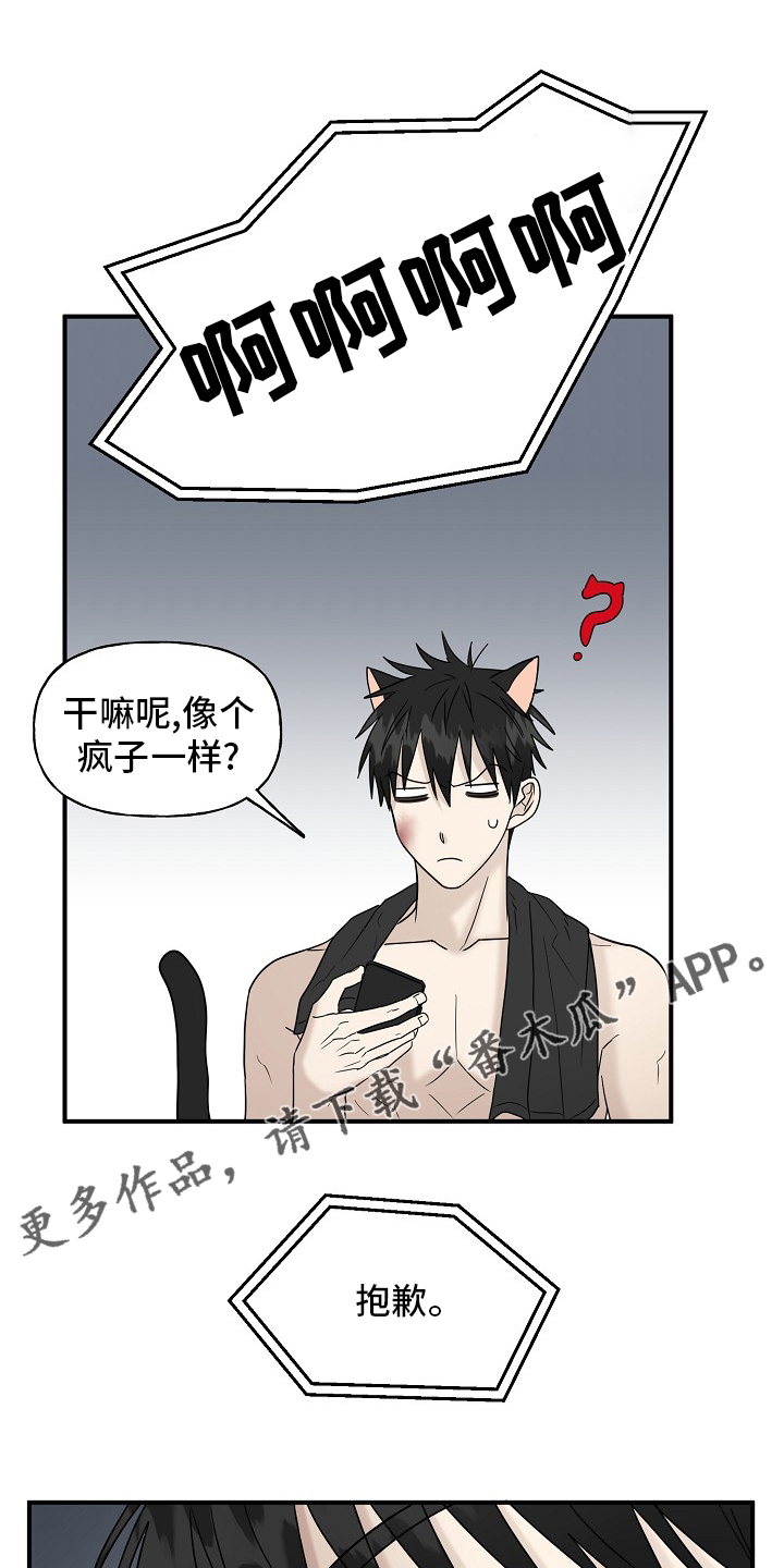 《幸运猫》第41章还没结束 第1页