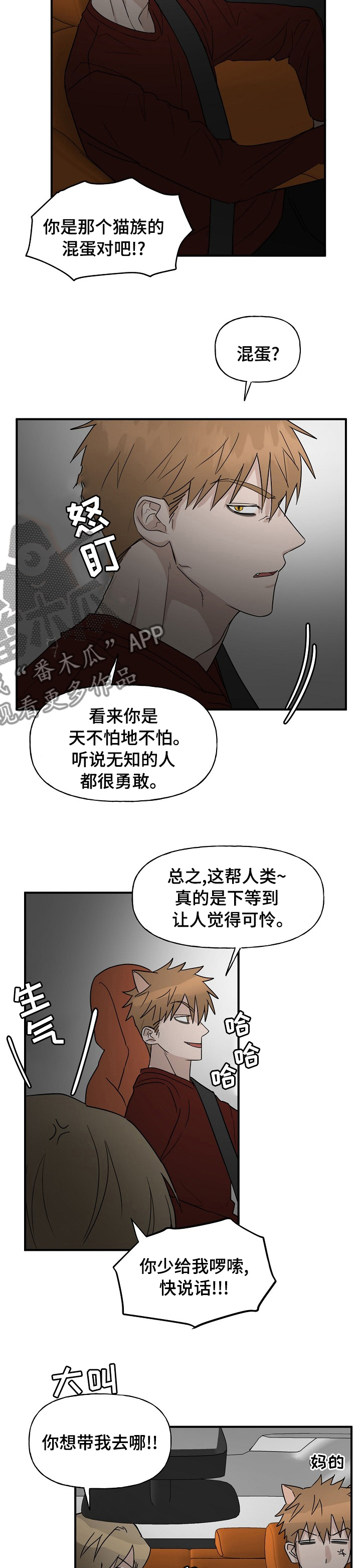 《幸运猫》第34章跟踪 第5页