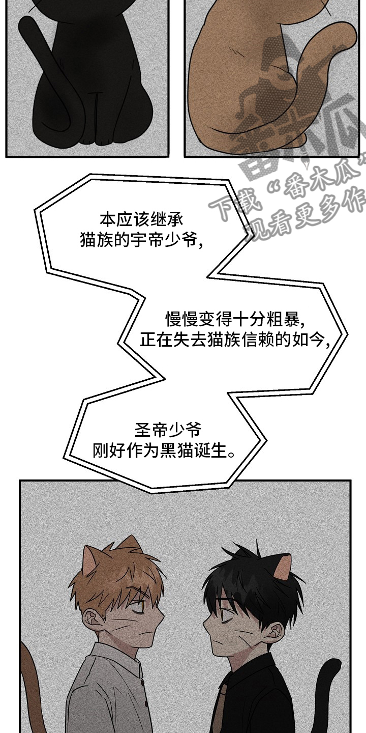 《幸运猫》第36章我来处理 第10页