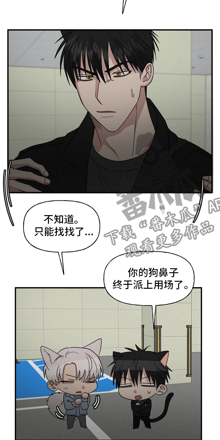 《幸运猫》第36章我来处理 第16页