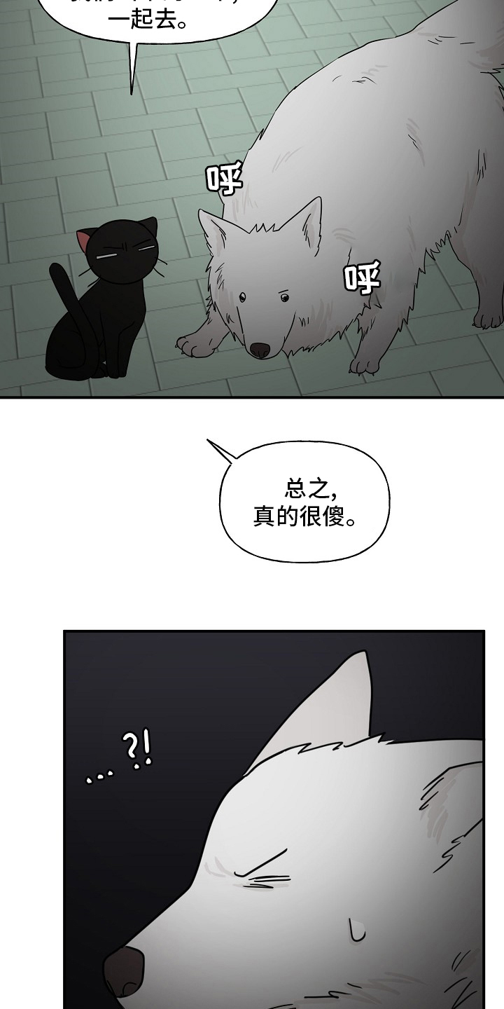 《幸运猫》第36章我来处理 第21页