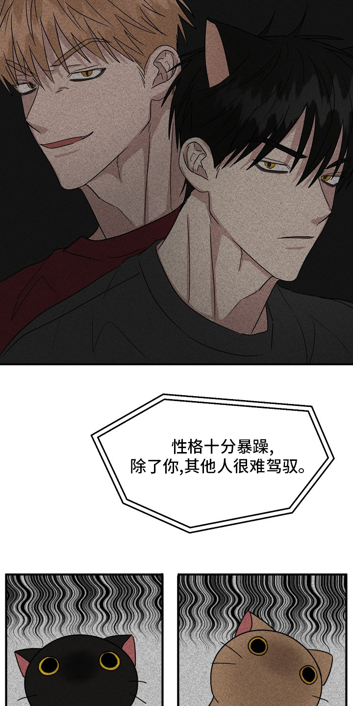 《幸运猫》第36章我来处理 第9页