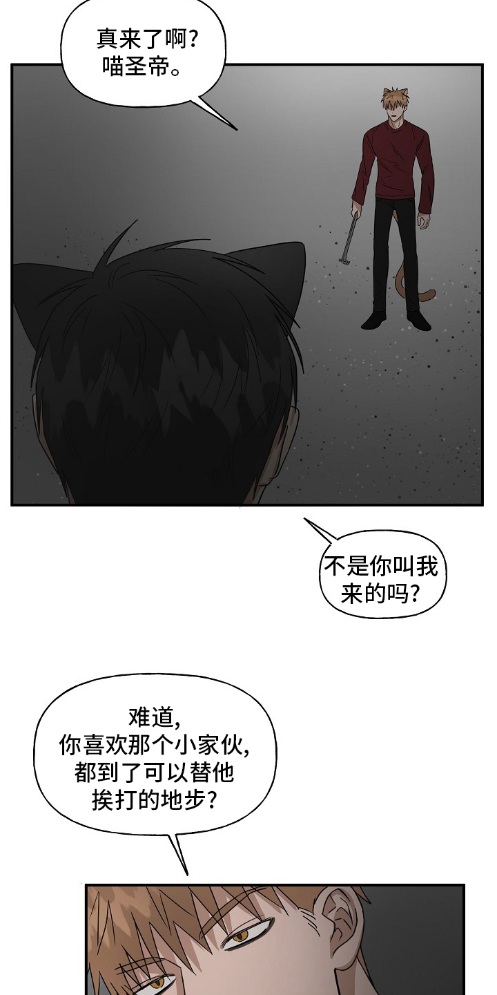 《幸运猫》第37章住手 第12页