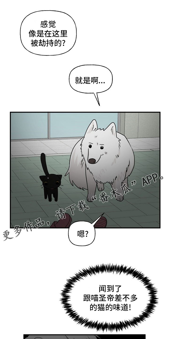 《幸运猫》第37章住手 第1页