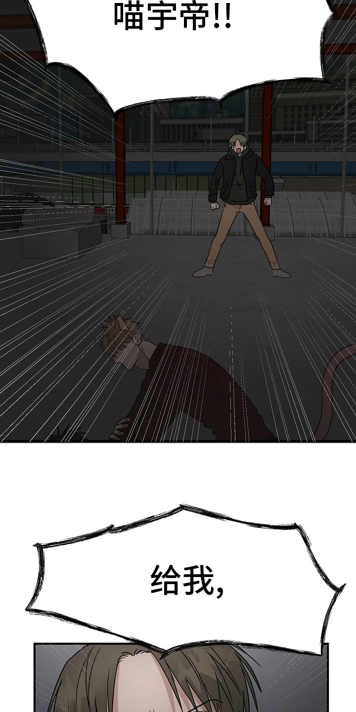 《幸运猫》第37章住手 第21页