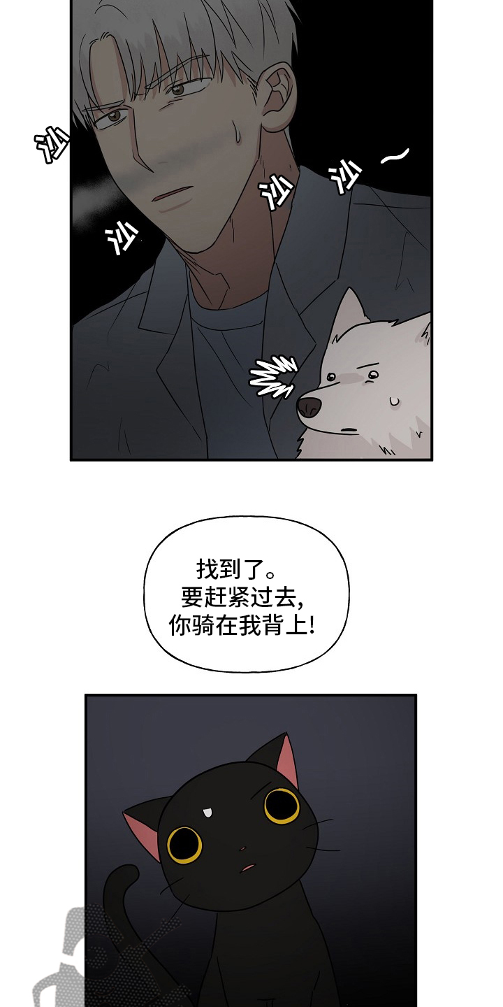 《幸运猫》第37章住手 第2页