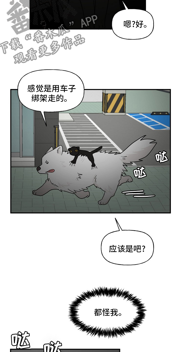 《幸运猫》第37章住手 第3页