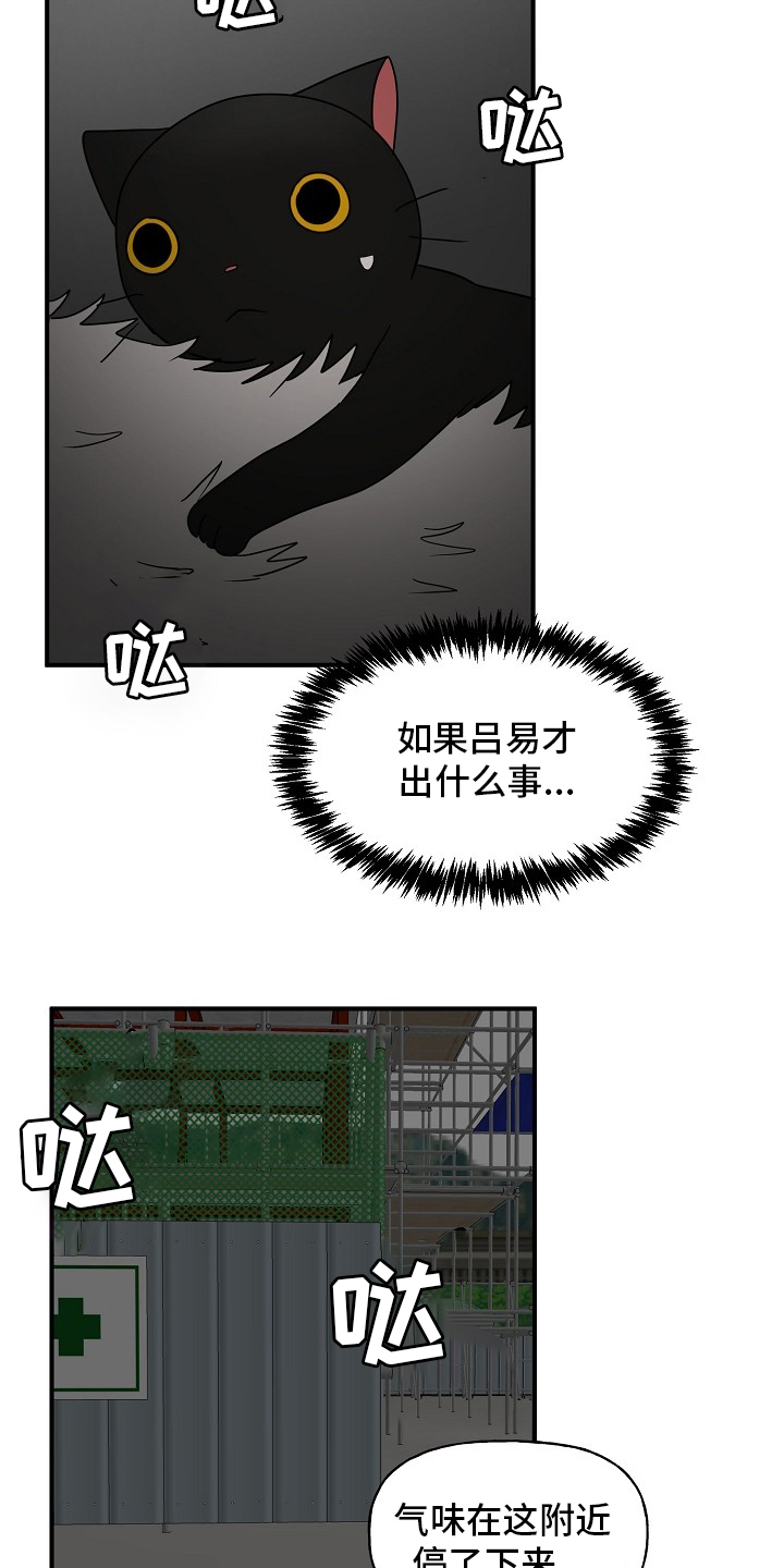 《幸运猫》第37章住手 第4页