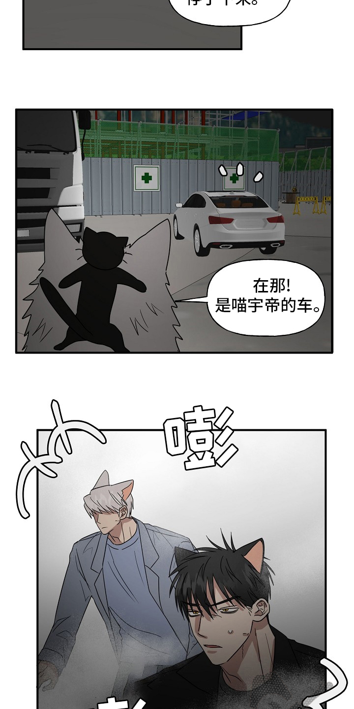 《幸运猫》第37章住手 第5页