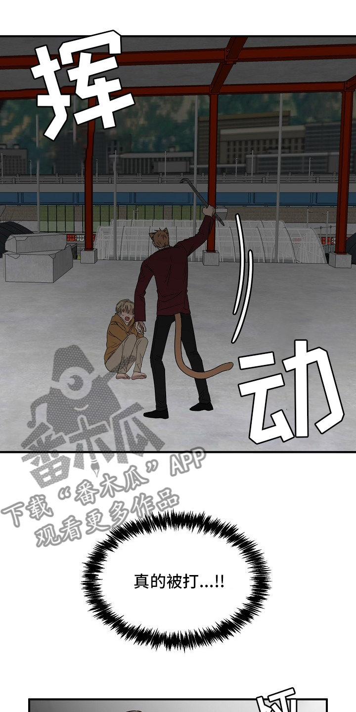 《幸运猫》第37章住手 第7页