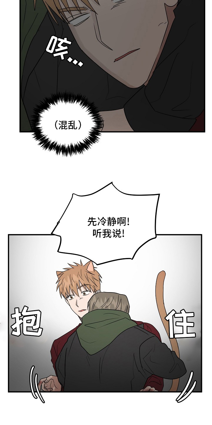 《幸运猫》第38章特殊能力 第12页