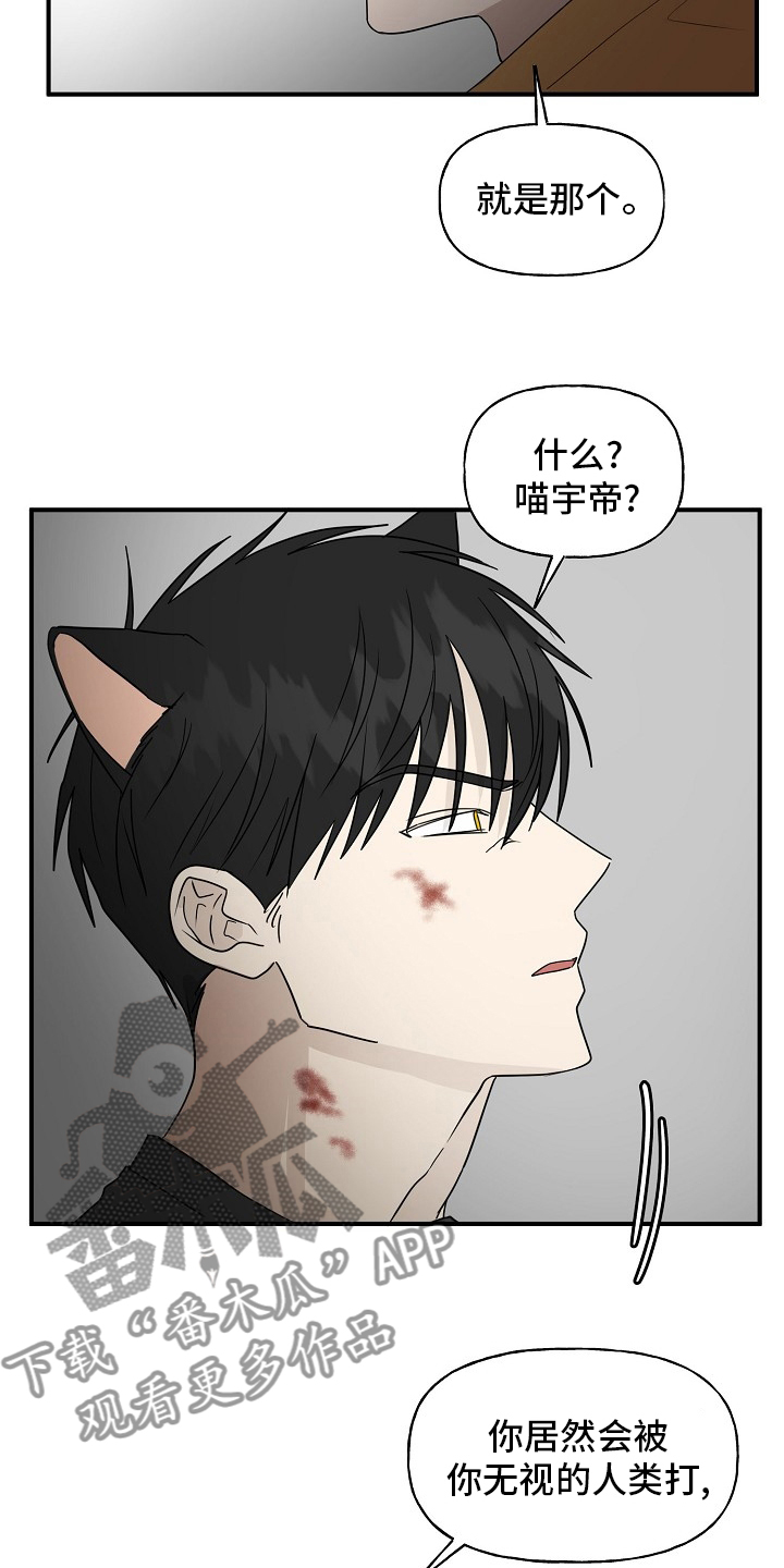 《幸运猫》第38章特殊能力 第15页