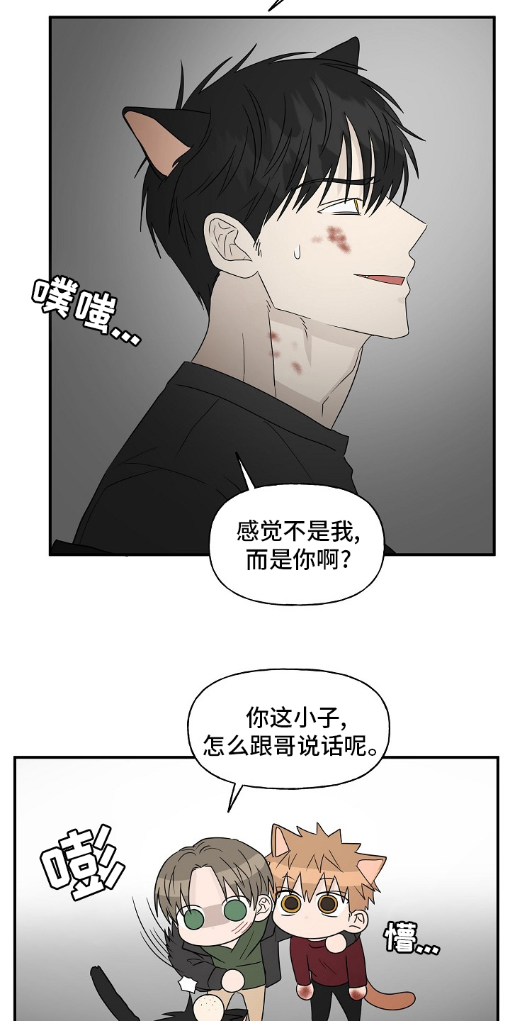 《幸运猫》第38章特殊能力 第16页