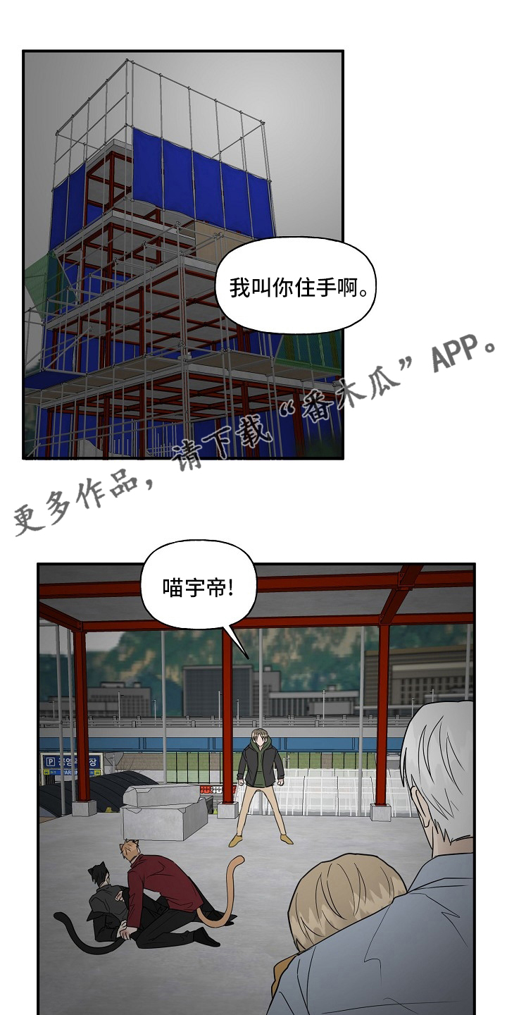 《幸运猫》第38章特殊能力 第1页