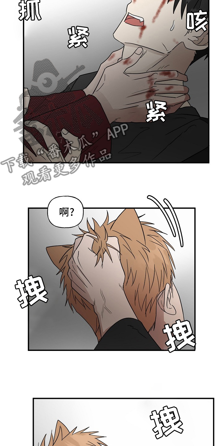 《幸运猫》第38章特殊能力 第9页