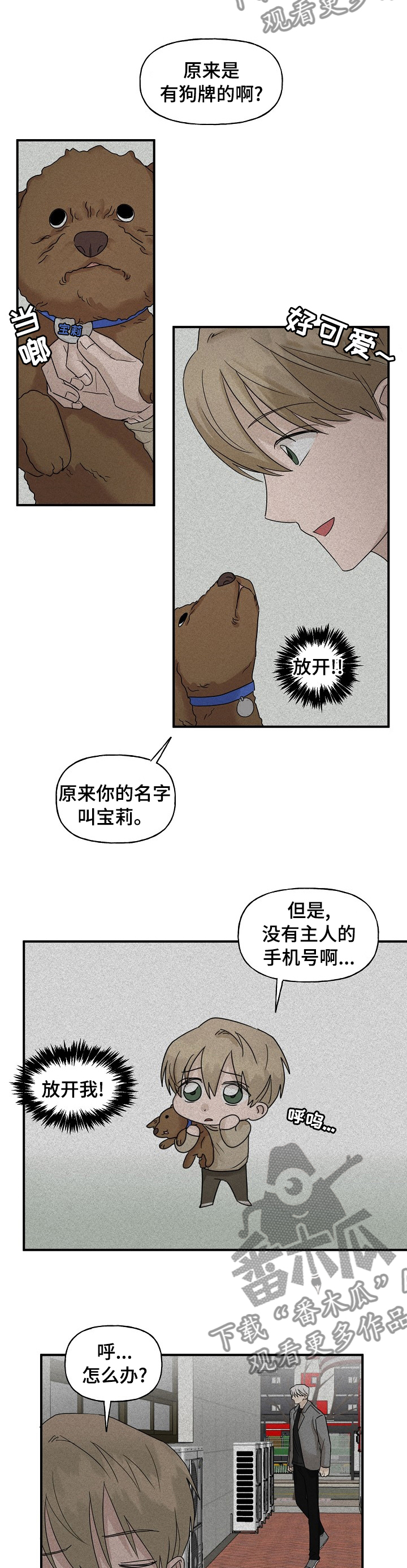 《幸运猫》第30章帮忙 第7页