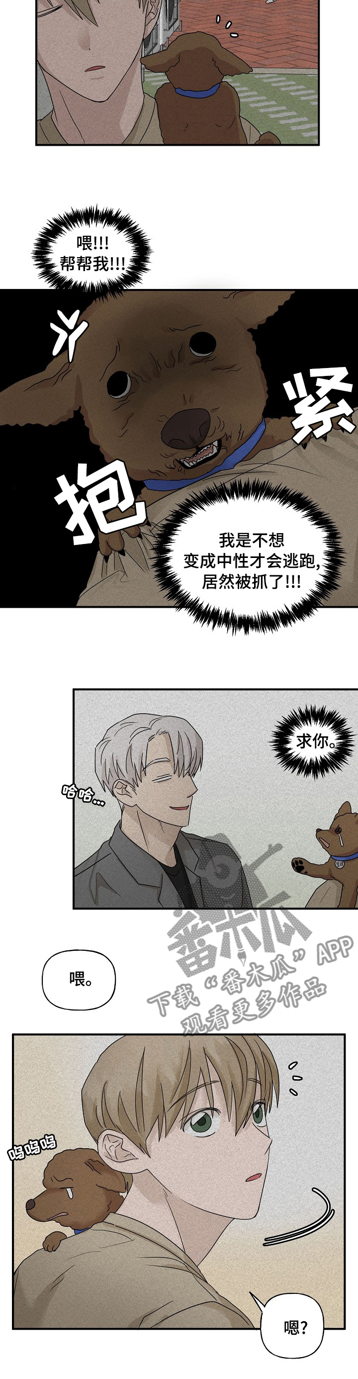 《幸运猫》第30章帮忙 第8页