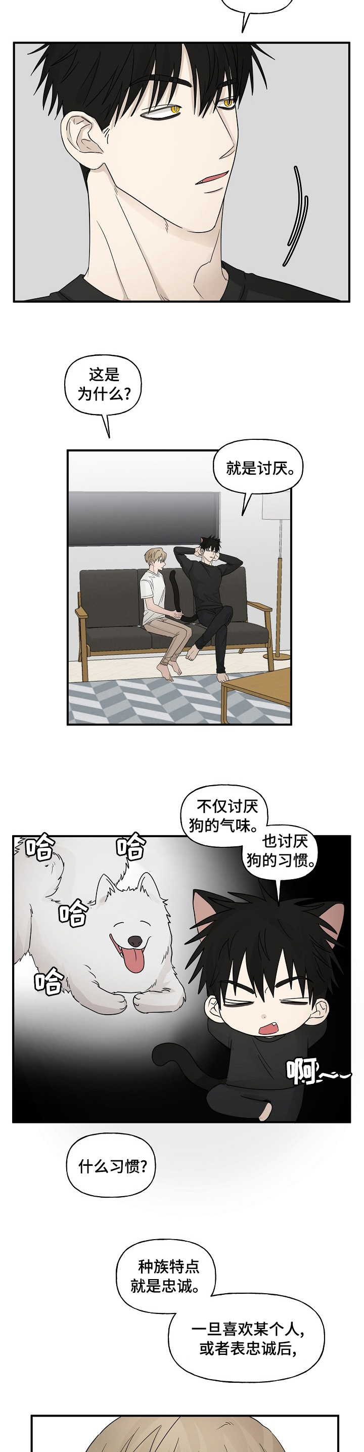 《幸运猫》第31章那个人 第7页