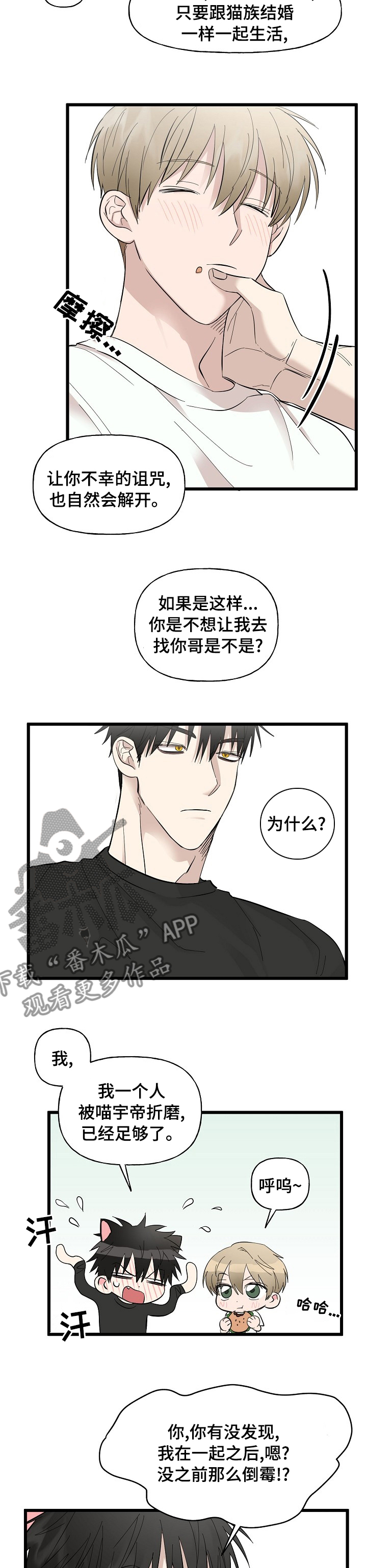 《幸运猫》第29章相册 第4页