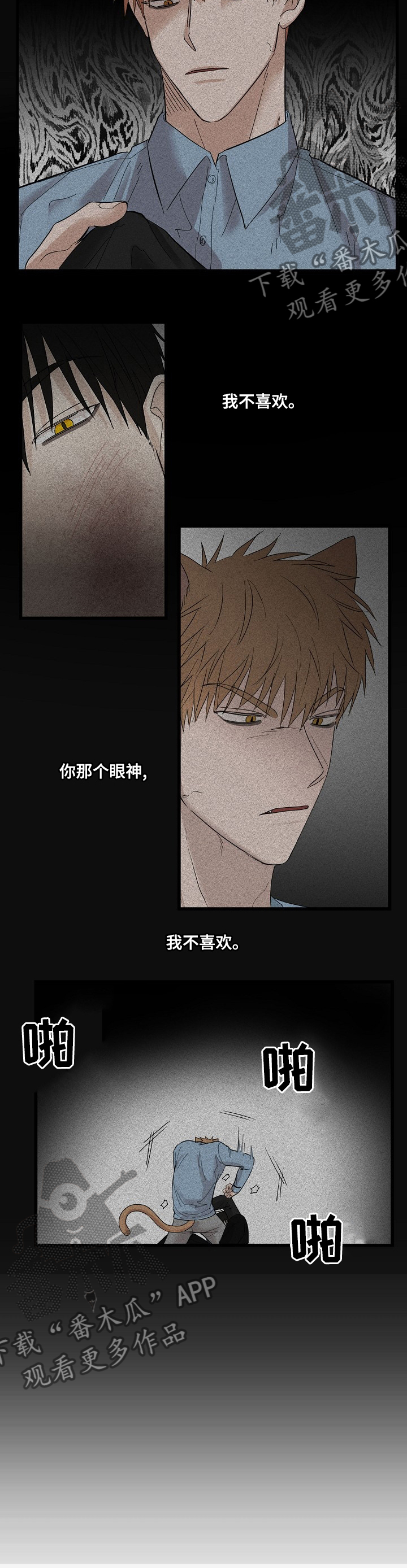 《幸运猫》第24章真是万幸 第5页