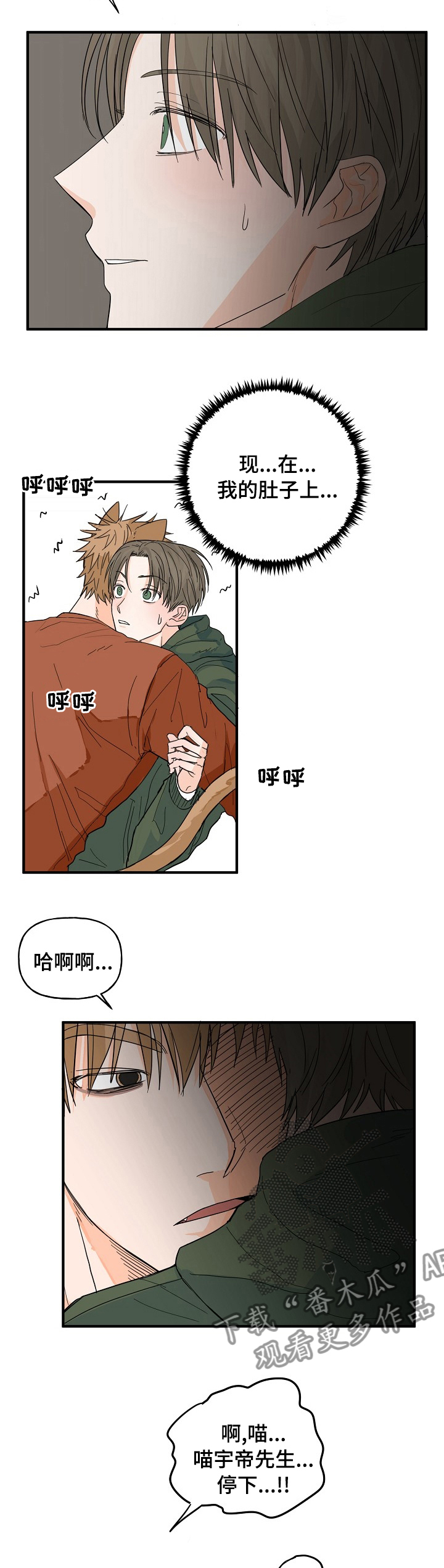 《幸运猫》第19章有点特别 第2页